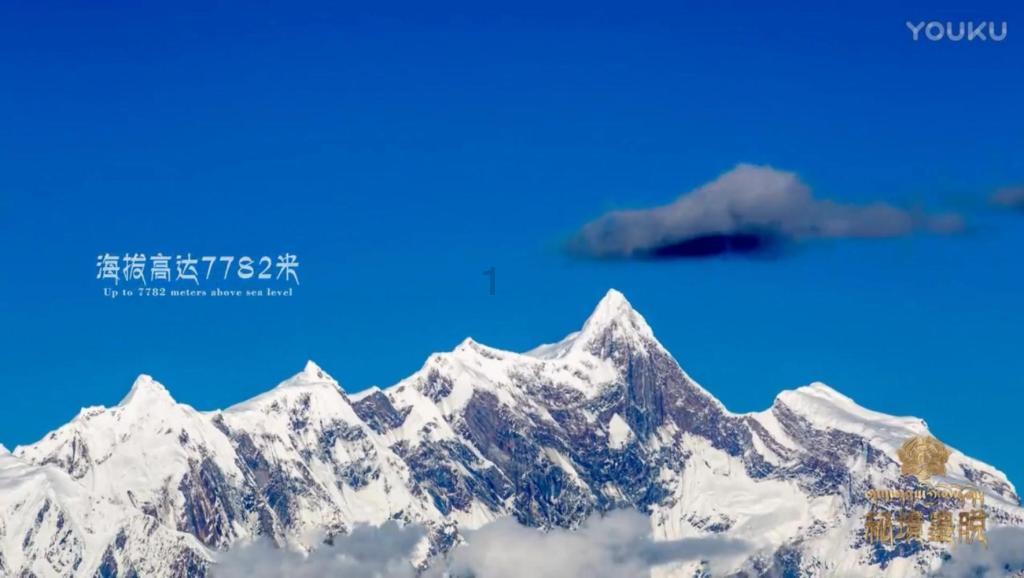 法国作家阿尔贝·加缪：“存在主义者透视荒诞世界”